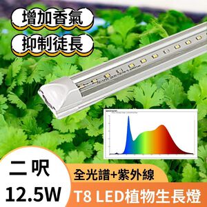 【君沛】UVA紫外線 2呎 T8植物燈管 全光譜 12.5W 多肉顯色 抑制徒長 植物櫃補光 龍舌蘭 觀葉層架燈