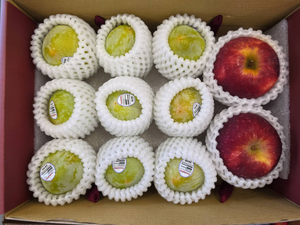 [馥果FruitGo]期間限定 美國綠恐龍蛋*9顆+宇宙脆蘋果*2顆 雙果禮盒