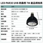 【君沛爬蟲燈】UVB 爬蟲燈 LED 補光燈 7W PAR30｜高 UVI 全光譜 適用爬蟲烏龜鬆獅, , large