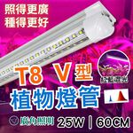 【君沛】紅藍光譜 V型雙排 2呎 T8一體式植物燈 25W 育苗首選 抑制徒長 發根強化 多肉上色 植物櫃免燈座, , large