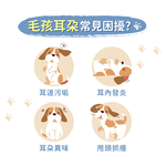 【艾寵聯萌】寵物潔耳指套濕紙巾50抽1瓶（耳道清潔 擦拭淚痕 貓狗通用 寵物清潔 純水濕紙巾 寵物乾洗澡）, , large