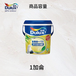 Paint, , large