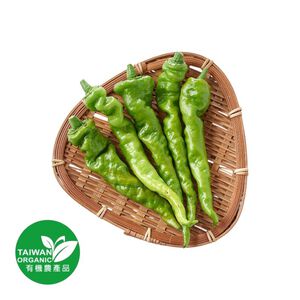 Organic Chilli 100g