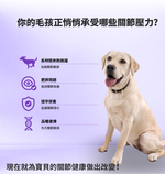 【GOMO PET FOOD】關節護動/成犬無穀高纖關節配方1.8kg 狗飼料 狗糧, , large