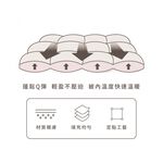 【青鳥家居】石墨烯遠紅外線水洗冬被6x7尺-台灣製 棉被 冬被 厚棉被 冬天棉被 雙人棉被 可水洗棉被, , large