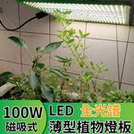 【君沛植物燈】LED植物燈 100W薄型植物燈板 100W 磁吸式植物燈 仿日照陽光 植物燈全光譜 高演色性生物舒適光, , large