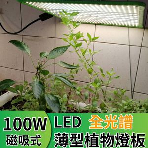 【君沛植物燈】LED植物燈 100W薄型植物燈板 100W 磁吸式植物燈 仿日照陽光 植物燈全光譜 高演色性生物舒適光