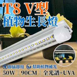 【君沛】UVA全光譜 50W超高功率 3呎 V型植物燈管 誘導上色 抑制徒長 龍舌蘭 多肉 塊根控型 層架補光 免燈座
