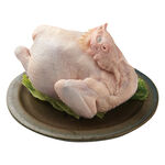 Taitung Black Chicken1.6-2.0, , large