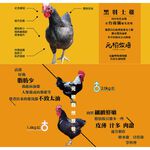 【元榆牧場】煙燻甘蔗雞大包裝750g, , large