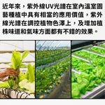 【君沛】UVA紫外線 2呎 T8植物燈管 全光譜 12.5W 多肉顯色 抑制徒長 植物櫃補光 龍舌蘭 觀葉層架燈, , large
