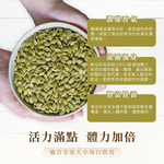 pumpkin seed powder, , large