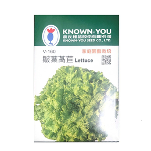 NongYou Curly Leaf Lettuce &ndash; Vegetable Seeds