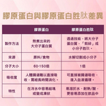 柏格醫生多型膠原蛋白胜肽, , large