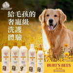 【全台快閃首賣】Burt's Bees&reg; 麥蘆卡護膚修復乳液 (犬用)｜限時買一送一｜共2瓶, , large