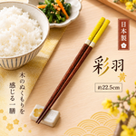 【HIYASU日安工坊】日本工藝箸-彩羽 黃, , large
