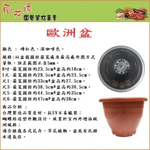 European Pot / Embossed European Pot / Round Pot (Brick Red) - 1.1 ft, , large