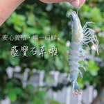 【一夫水產】產銷履歷/藍寶石草蝦, , large
