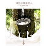 【格藍傢飾】諾菈舒適乳膠坐墊+全方位腰墊 座墊 辦公室開學, , large