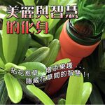 GS MALL 台灣製造 盆栽注水器 滲水器 澆水器 施肥器 注水器 滴水器 園藝器具 灑水器 澆水器, , large