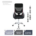 辦公椅 電腦椅 網椅 人體工學椅 主管椅 護腰 電競椅 CH1246, 黑色, large