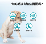【GOMO PET FOOD】菌衡護衛/成犬無穀低敏配方1.8kg 狗飼料 狗糧, , large