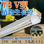 【君沛】UVA全光譜 V型雙排 2呎 T8一體式植物燈 25W 誘導上色 抑制徒長 多肉控型 龍舌蘭 桌上型補光 免燈座, , large