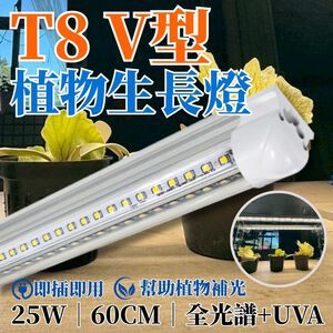 【君沛】UVA全光譜 V型雙排 2呎 T8一體式植物燈 25W 誘導上色 抑制徒長 多肉控型 龍舌蘭 桌上型補光 免燈座