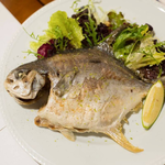 【一夫水產】產銷履歷/無抗海水金鯧魚, , large