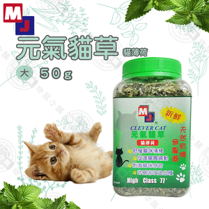 聰明貓 元氣貓草 30G / 50G 貓薄荷草 維他命C 葉綠素 助化毛 貓草 貓零食