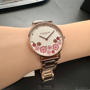 [星晴錶業]COACH手錶,36mm,CH00202白色錶面玫瑰金錶殼玫瑰金色精鋼錶帶款