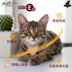 【Mr.Bar】時光鮮廚貓罐 貓餐罐 主食罐170g x 48入, , large