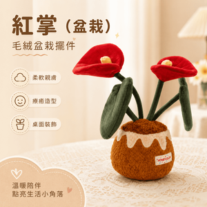 【際洋文化】象皮兔 紅掌（盆栽）