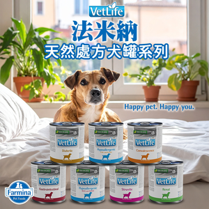 [承佳] 6入/箱購組 Farmina 法米納 Vet Life 天然處方犬罐 300g 狗罐 營養 腎臟 腸胃 皮膚 血糖