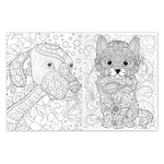 [風車圖書] 藝術彩繪動物, , large