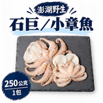 【一夫水產】澎湖野生石巨/小章魚, , large
