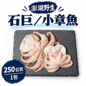【一夫水產】澎湖野生石巨/小章魚