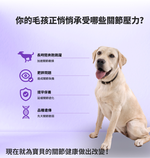 【GOMO PET FOOD】關節護動/成犬無穀高纖關節配方4.2kg 狗飼料 狗糧, , large