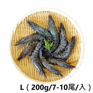 Penaeus monodon