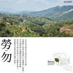 ★真的貓山王!!!★【D.MASKING榴槤大哥】全台唯一馬來西亞官方認證&rarr;勞勿冷凍貓山王榴槤 400g_1盒, , large