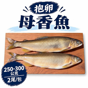 【一夫水產】抱卵母香魚