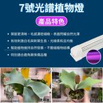【君沛】7號光譜 藍光強化 4呎T8一體式 25W 抑制徒長 鹿角蕨推薦 觀葉植物 還原原色 層架燈, , large