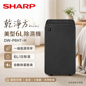 SHARP 夏普 乾淨方mini美型6L除濕機 DW-P6HT-H
