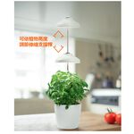 [凌騰科技] 歐司朗/朗德萬斯 萃享USB LED 植物生長燈, , large