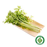 TAP Celery, , large