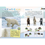 Polar Zones, , large