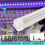 【君沛】7號光譜 藍光強化 4呎T8一體式 25W 抑制徒長 鹿角蕨推薦 觀葉植物 還原原色 層架燈, , large