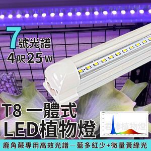 【君沛】7號光譜 藍光強化 4呎T8一體式 25W 抑制徒長 鹿角蕨推薦 觀葉植物 還原原色 層架燈