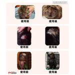 【PawHomie】Addison 愛迪生皮膚噴劑｜犬貓皮膚護理・舒緩乾癢・日常修護, , large