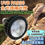 【君沛爬蟲燈】UVB 爬蟲燈 LED 補光燈 7W PAR30｜高 UVI 全光譜 適用爬蟲烏龜鬆獅, , large